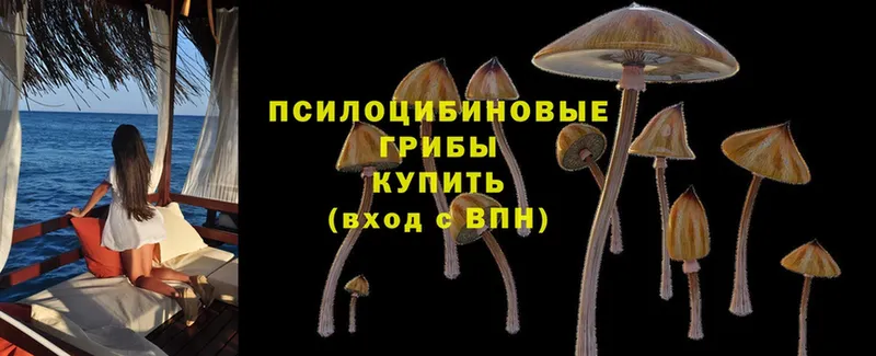 Псилоцибиновые грибы Magic Shrooms  Изобильный 